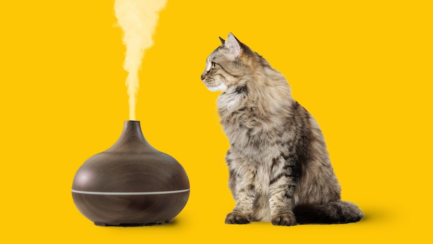 DIFFUSER BLENDS
