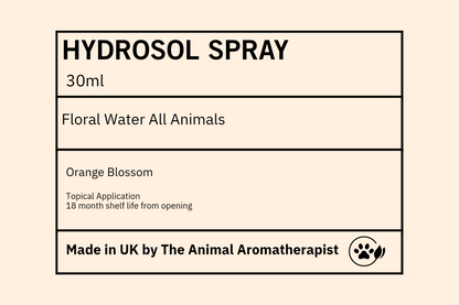 Hydrosol/ Floral Water  ORANGE BLOSSOM  30ml spray