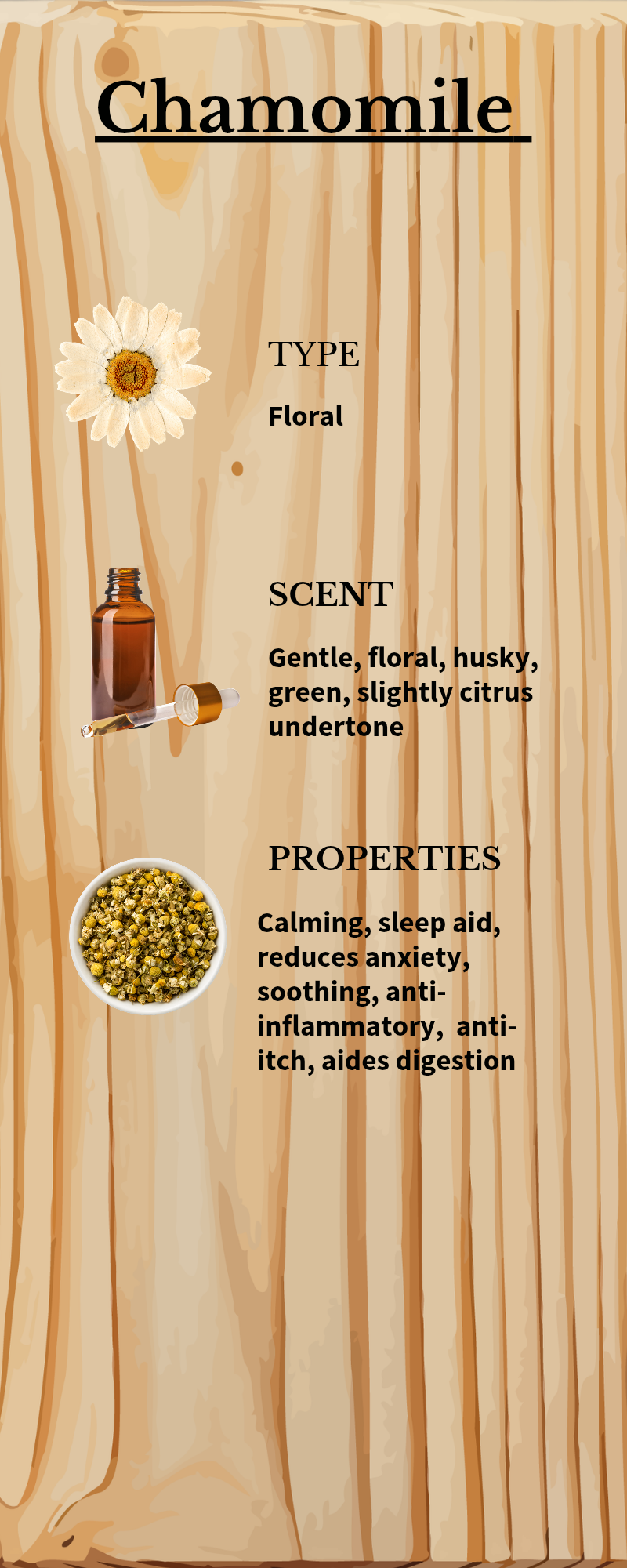 Aromatheraphy Nose & Ear Care Duo  for Dogs