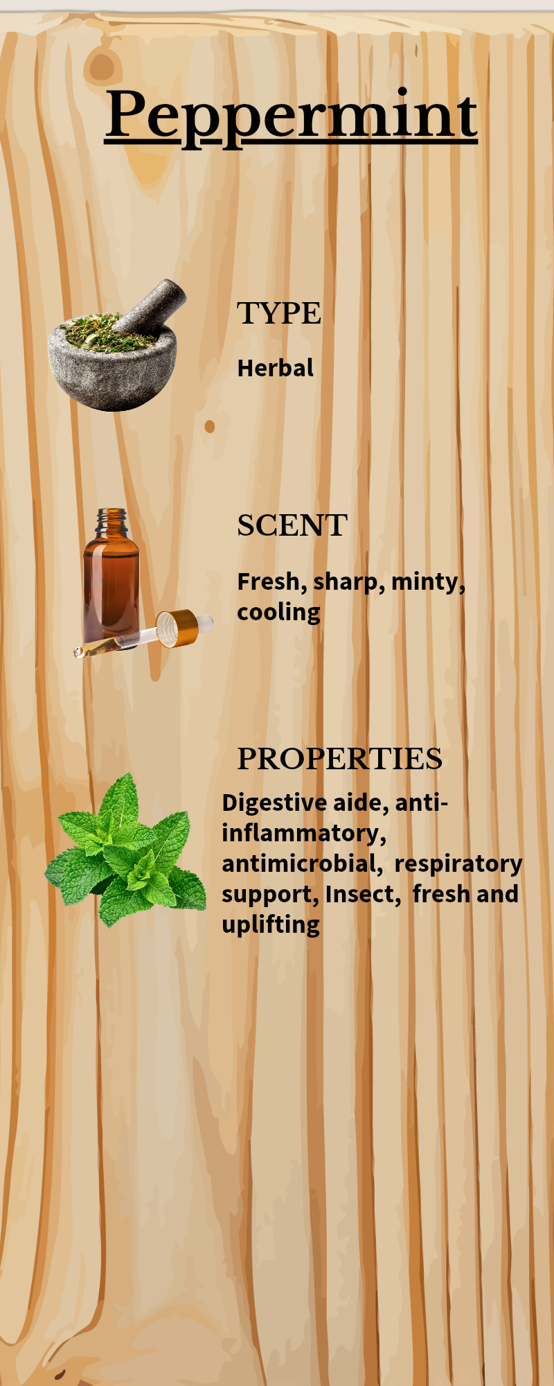Aromatherapy Kit For Dogs ( 3 calming & grounding products)