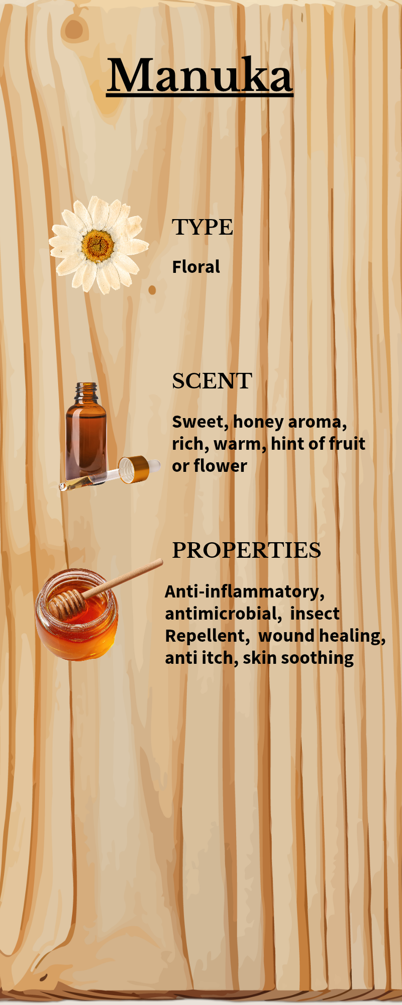 Ear Infection Relief Oil ( Cats and small animals)