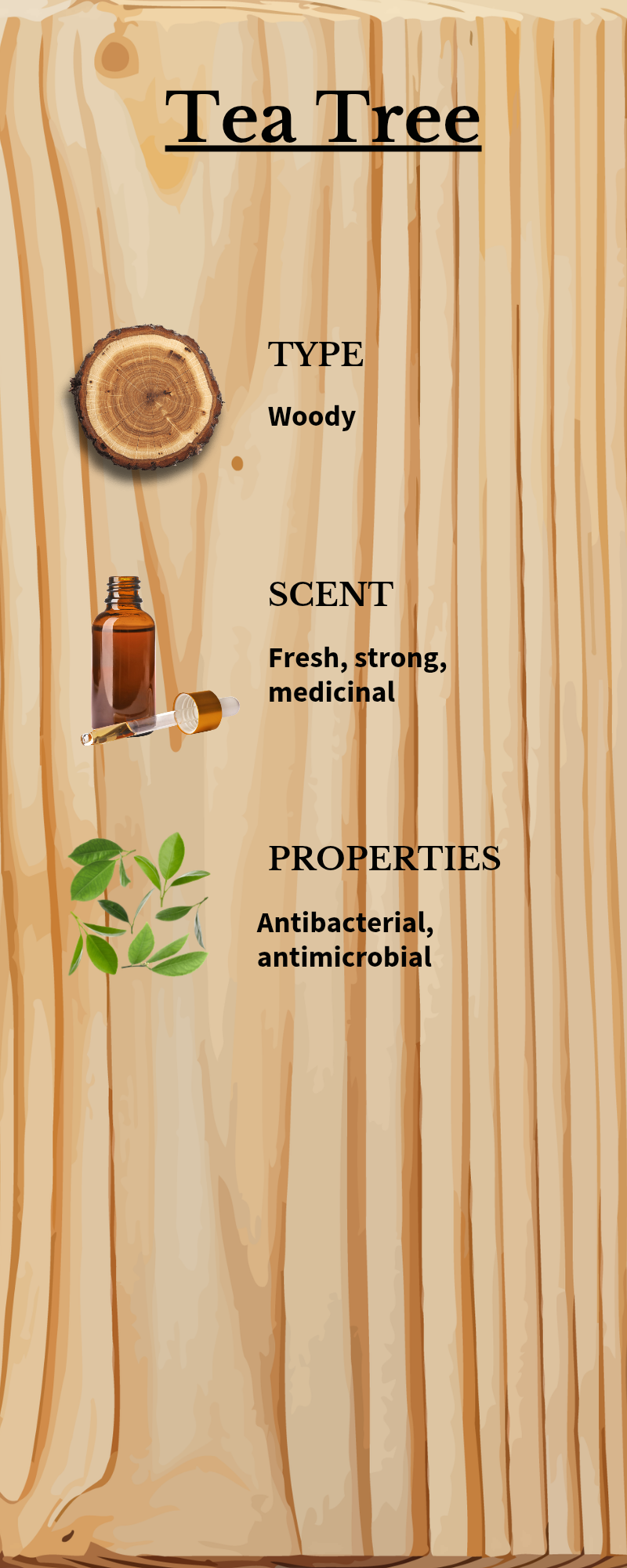 Ear Infection Relief Oil ( Dogs & Large Animals)