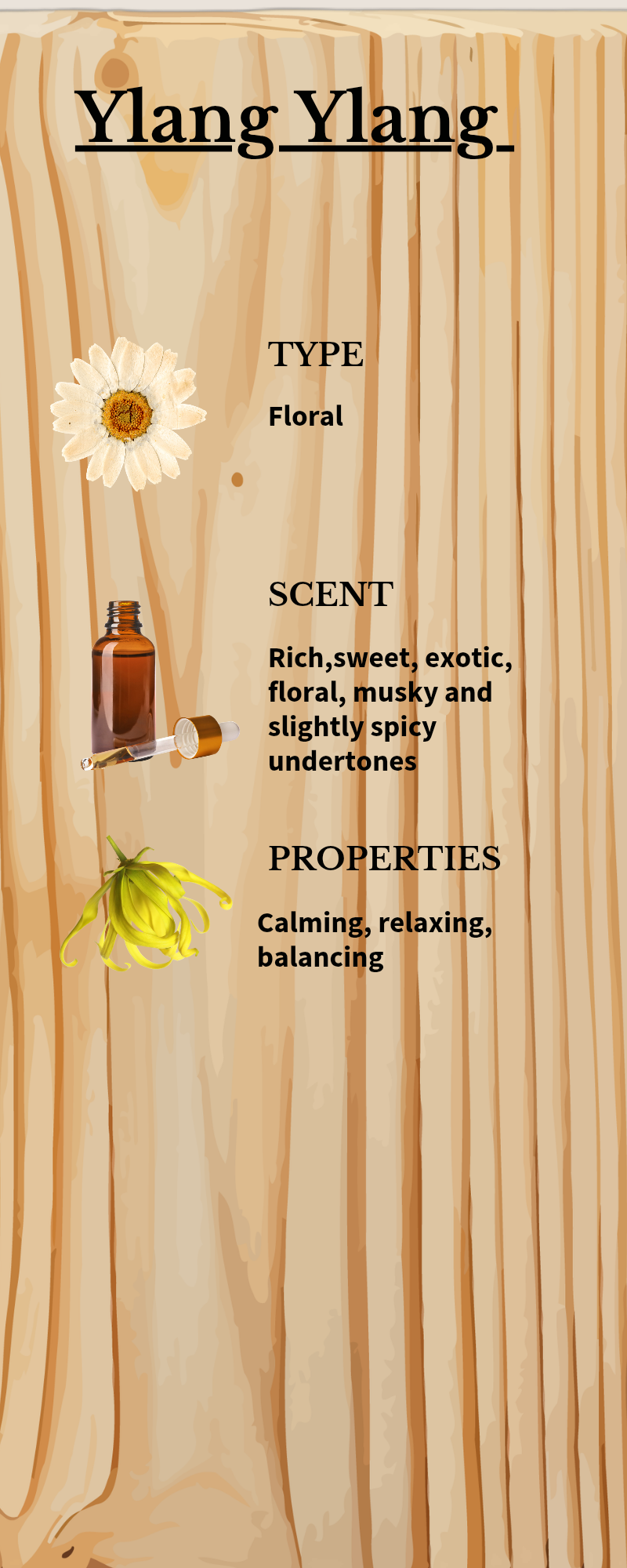 Luxury Aromatherapy Massage Oil for Dogs (Ylang Ylang, Clary Sage & Chamomile) 30ml dropper bottle