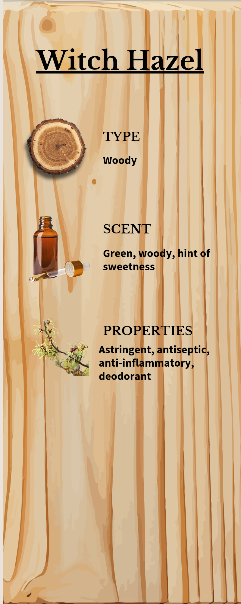 Hydrosol/ Floral Water PEPPERMINT & WITCH HAZEL  30ml spray