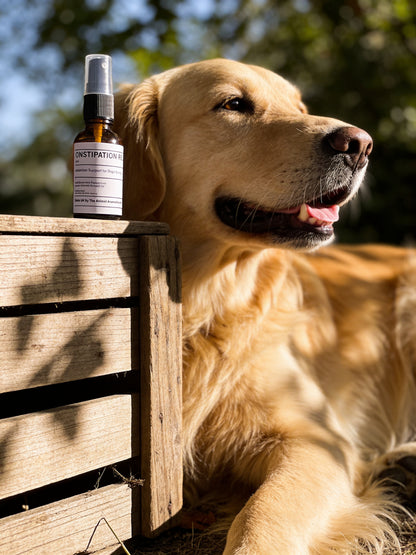 Constipation Relief Oil ( Dogs and Large Animals)