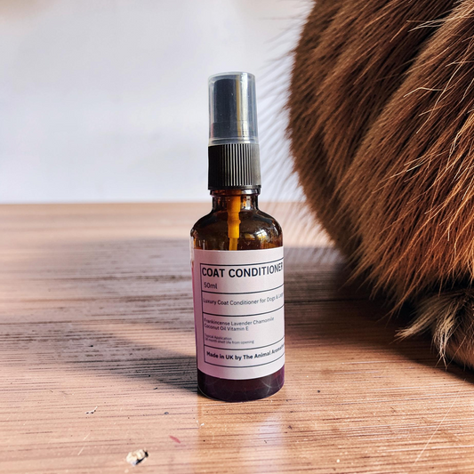 Aromatherapy Kit For Dogs ( 3 calming & grounding products)