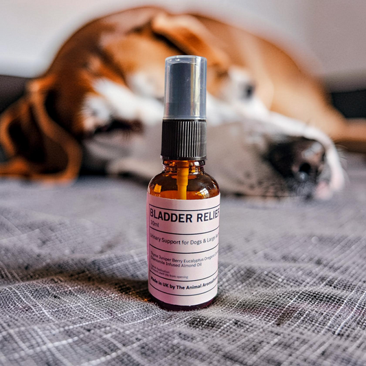 Bladder Relief Oil ( Dogs and Large Animals)