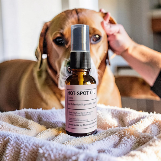 Hot-Spot Oil (Dogs and Large Animals)