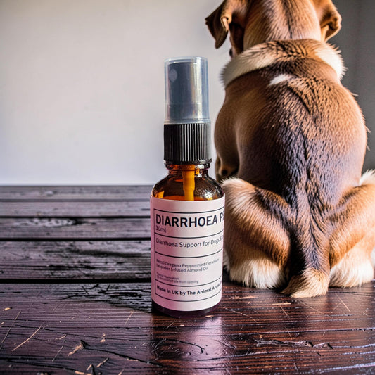 Diarrhoea Relief Oil ( Dogs and Large Animals)