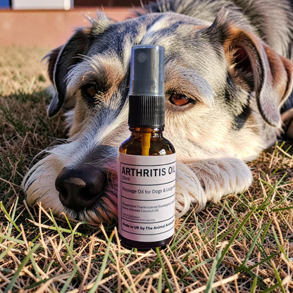 Arthritis Oil ( Dog & Large Animal)