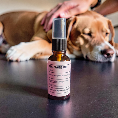 Luxury Aromatherapy Massage Oil for Dogs (Ylang Ylang, Clary Sage & Chamomile) 30ml dropper bottle
