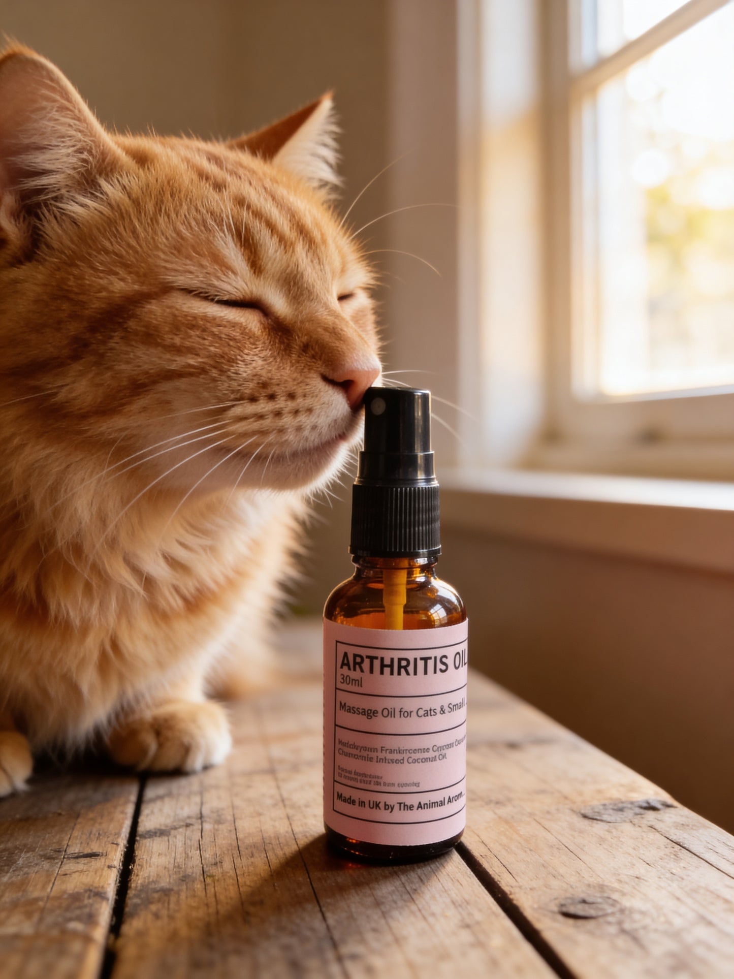 Arthritis Oil ( Cats & Small Animals)