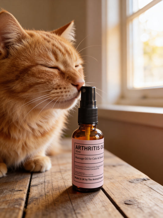 Arthritis Oil ( Cats & Small Animals)