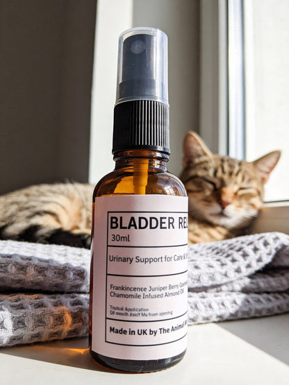 Bladder Relief Oil ( Cats & Small Animals)