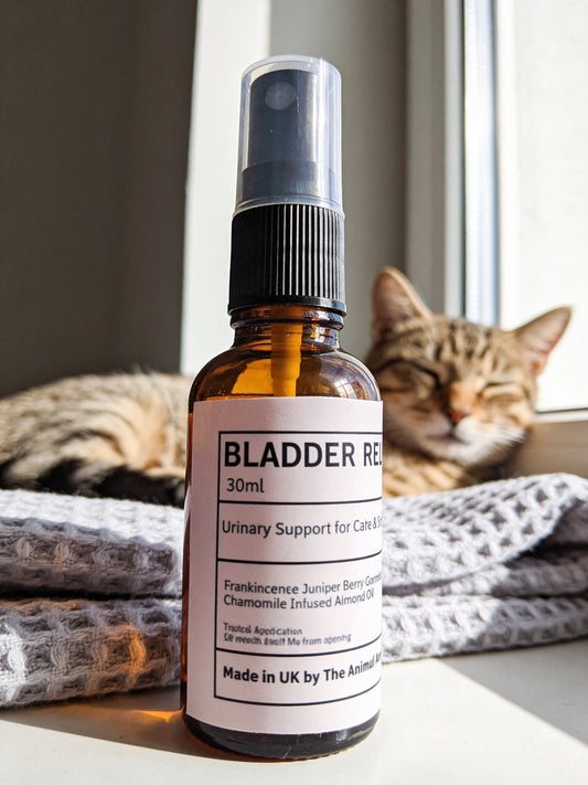 Bladder Relief Oil ( Cats & Small Animals)