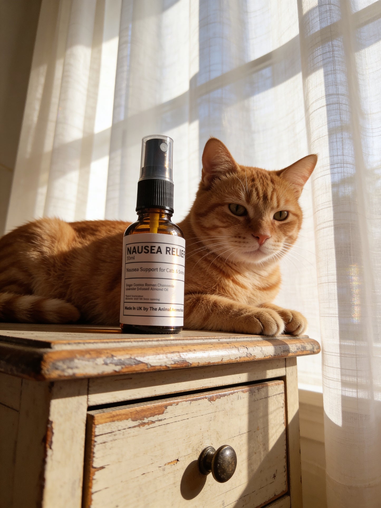 Nausea Relief Oil ( Cats and Small Animals)
