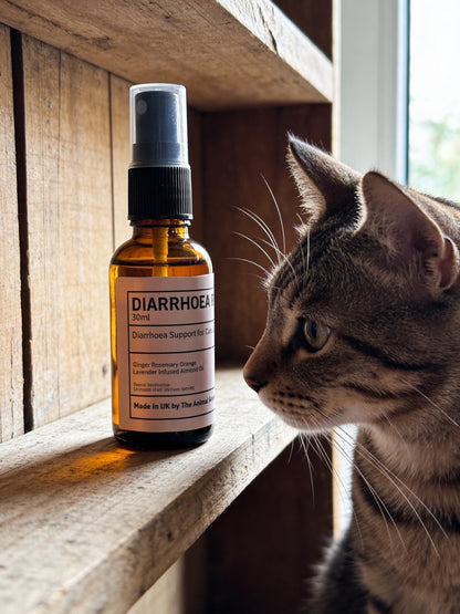 Diarrhoea Relief ( Cats & Small Animals)
