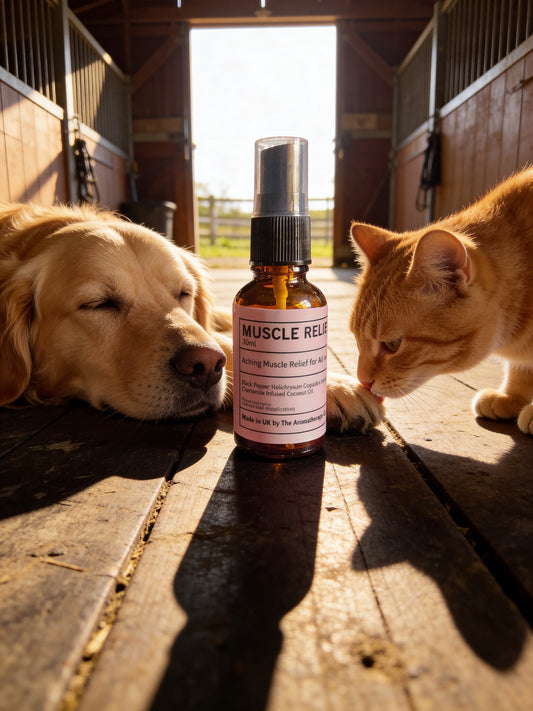 Muscle Relief Oil (All Animals)