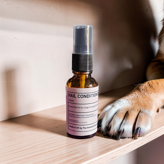 Luxury Nail Oil for Dogs ( Cedarwood,  Lavender & YlangYlang) 30ml dropper bottle