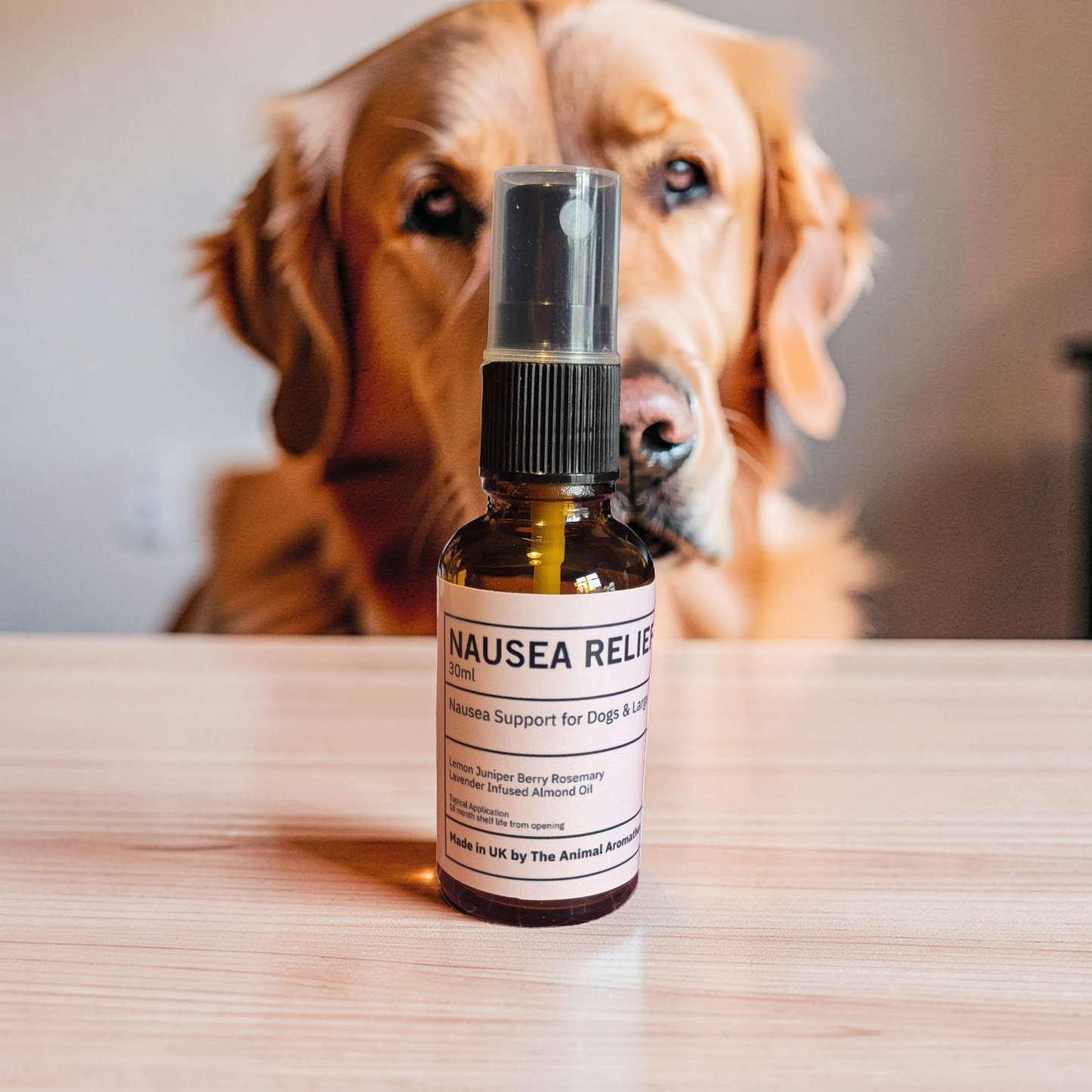 Nausea Relief Oil ( Dogs and Large Animals)