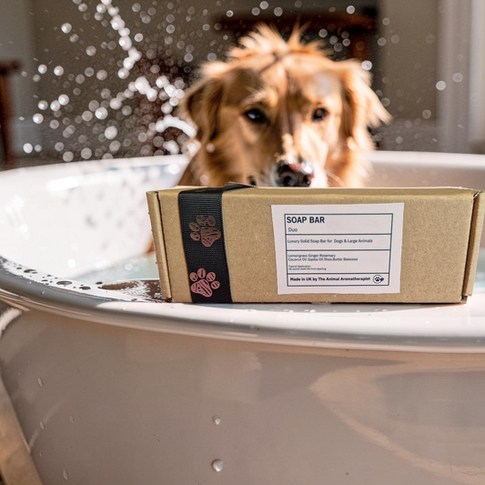 Aromatheraphy Solid Shampoo Bar for Dogs  (Lemongrass, Ginger& Rosemary)
