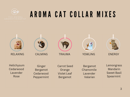AROMA TAGS CAT