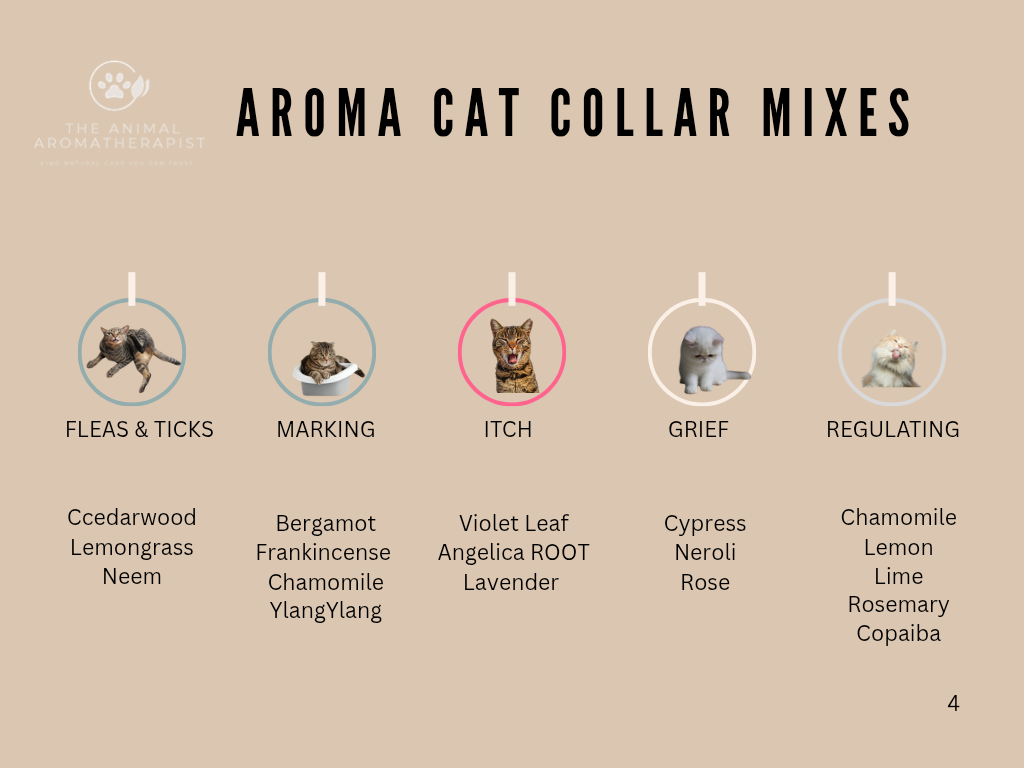AROMA TAGS CAT