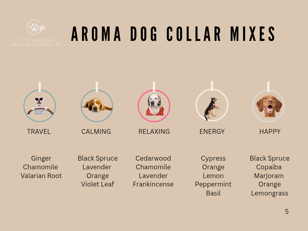 AROMA TAGS DOG