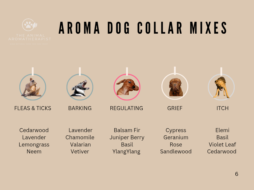 AROMA TAGS DOG