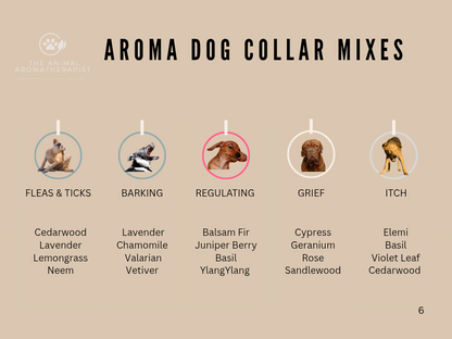 AROMA TAGS DOG